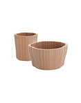 produit-corteza-Grande-Photo-2-miniature
