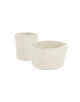 produit-corteza-Grande-Photo-3-miniature