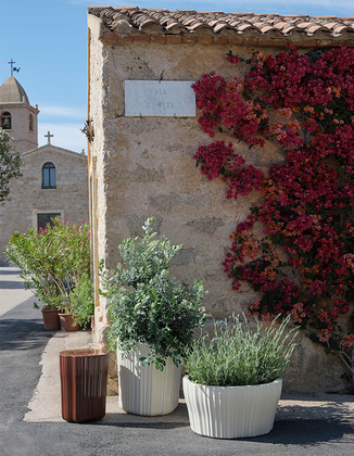 produit-corteza-Mise-en-situation-8