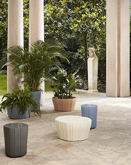 produit-corteza-Miniature-2