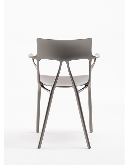 produit-ai-2-Grande-Photo-4